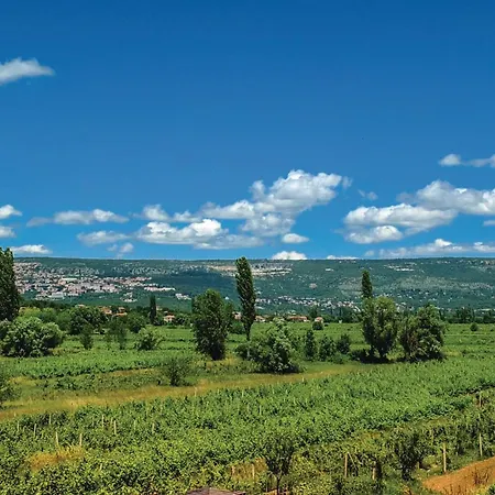 Prázdninový dům 4 Bedroom Stunning In Grubine